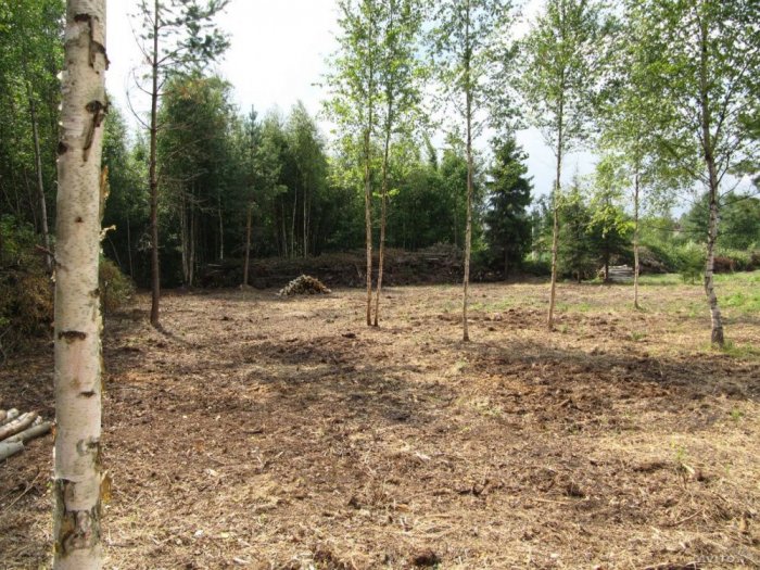 Обслуживание ЛЭП, покос кустов, расчистка трасс инфраструктурных объектов в Москве